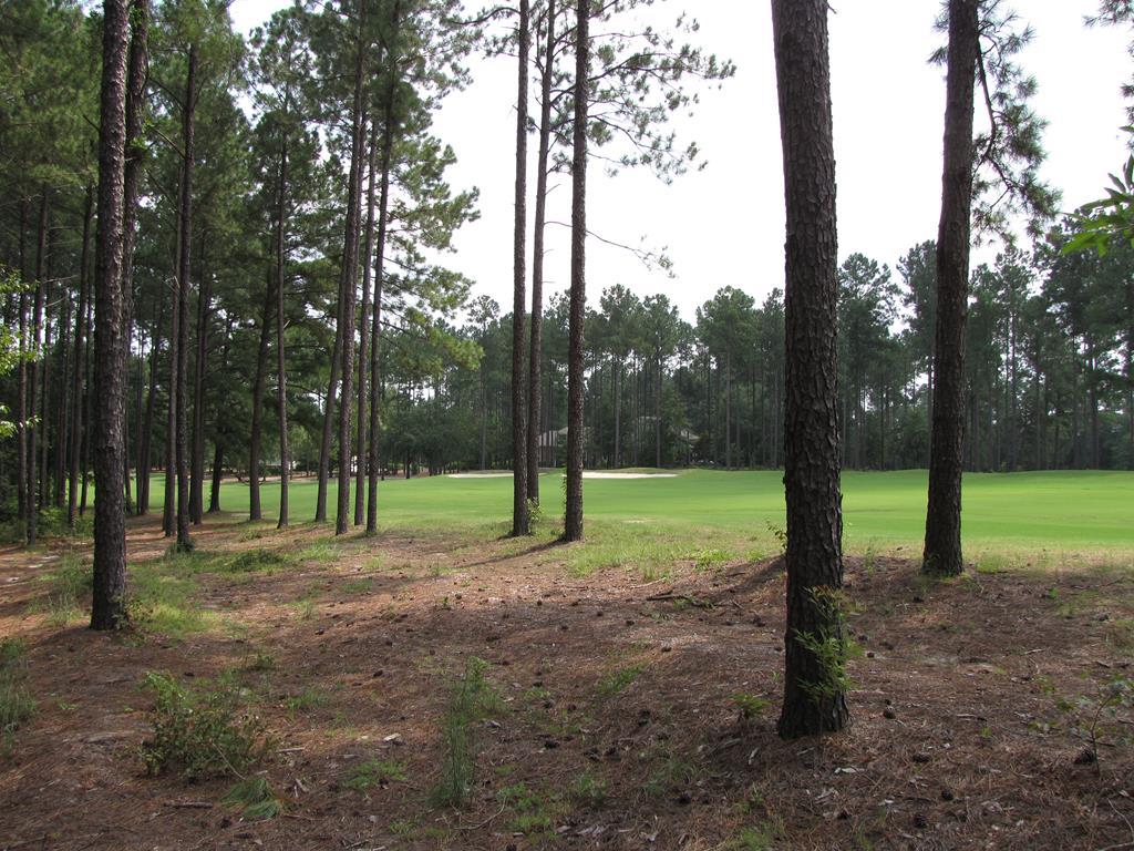 5049 County Down Court - Photo 1