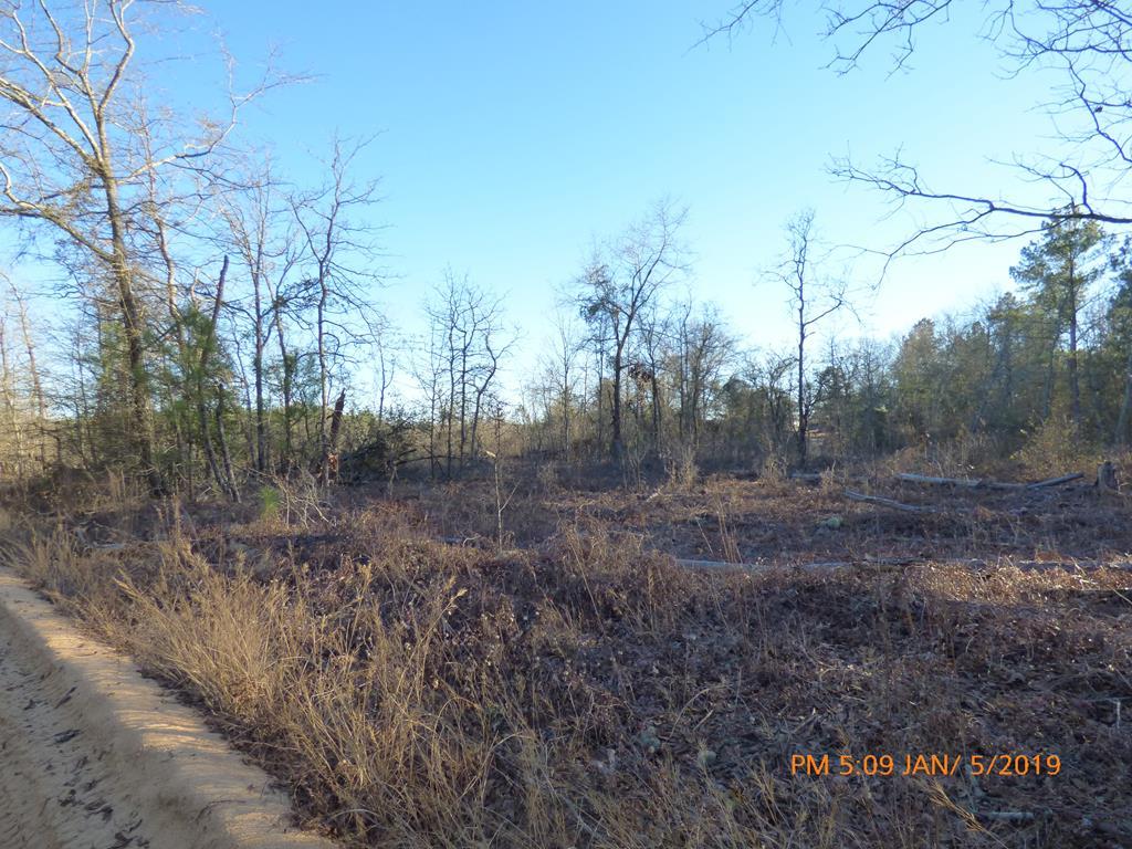 0 Grady Pond Road - Photo 1
