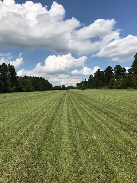 Lot 6 Burkelo Road - Photo 1