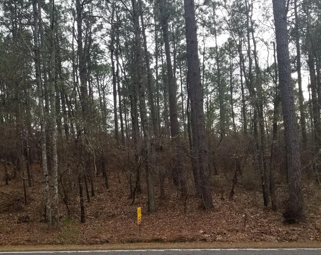 4170 Storm Branch Road - Photo 1