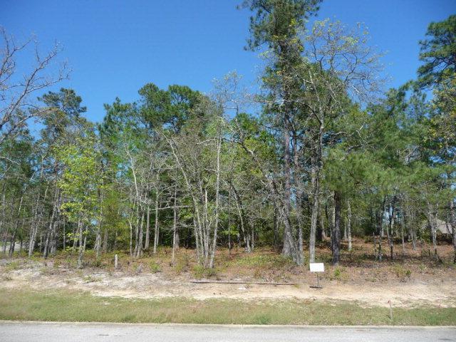 LOT 472 Spalding Lake Circle - Photo 1