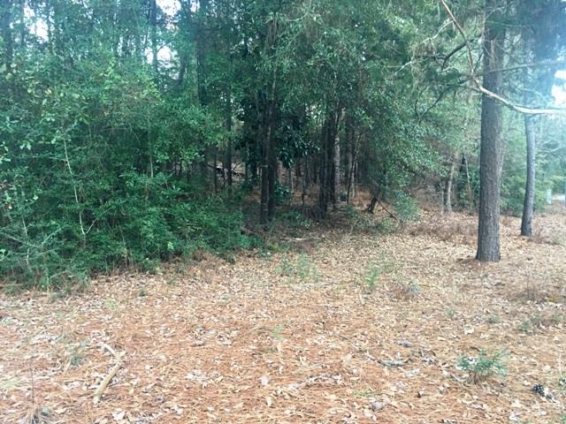 Lots 17 & 18 Colonial Drive - Photo 1