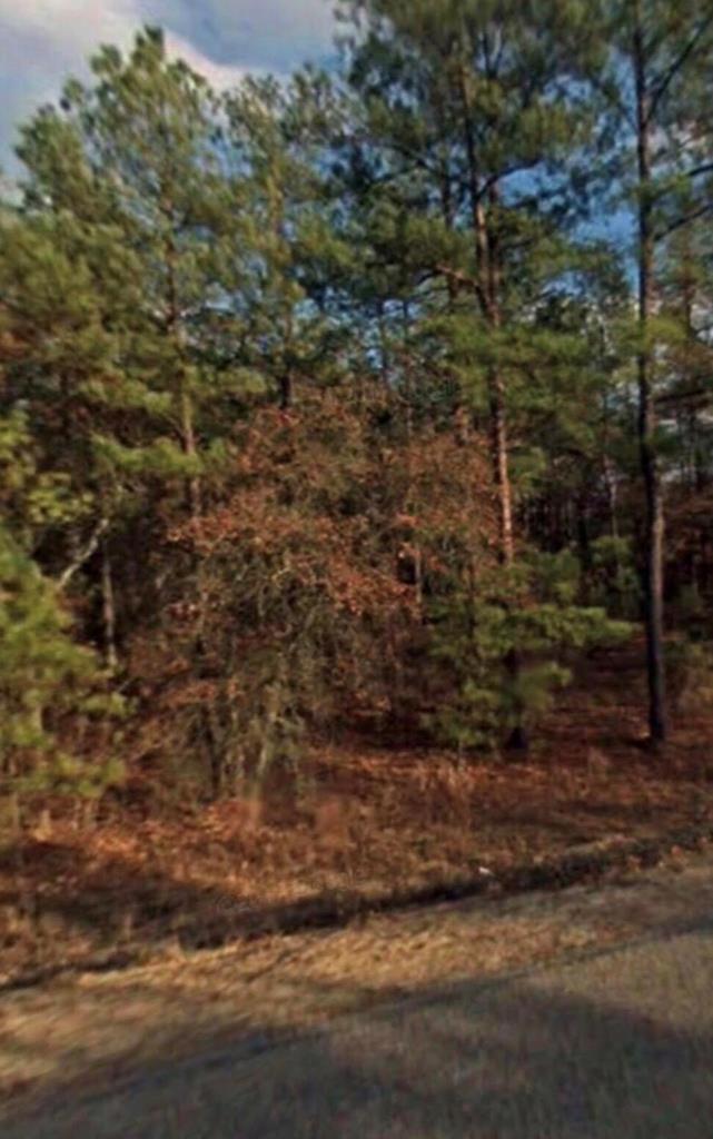 Lot 1 Paces Creek Road - Photo 1