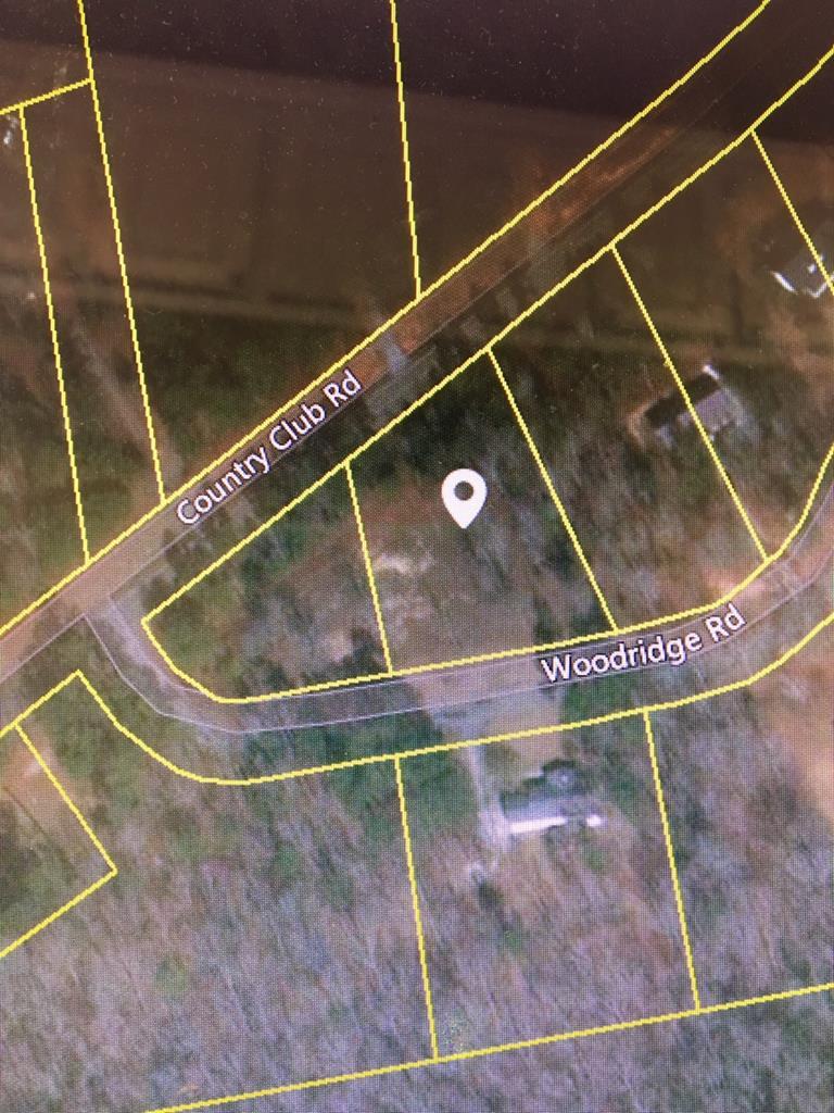 0 Woodridge Road - Photo 1