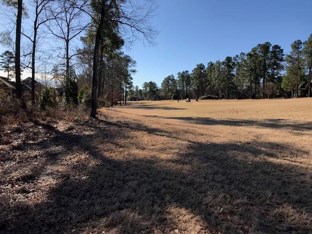 142 Bridge Crest Court - Photo 1