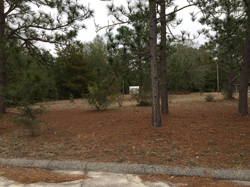 00 Neibling Drive - Photo 1