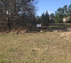 158 Enclave Drive - Photo 1