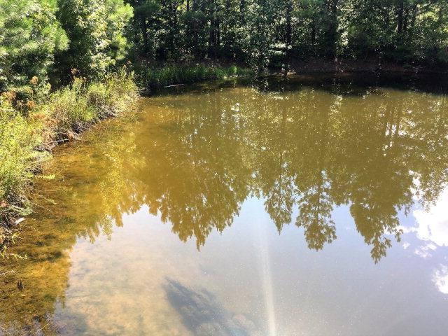 312 Cumbee Trail - Photo 1