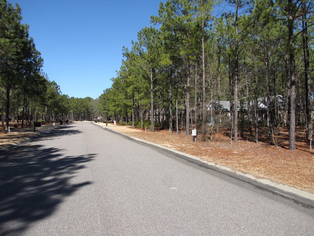 493 Edengale Way - Photo 1
