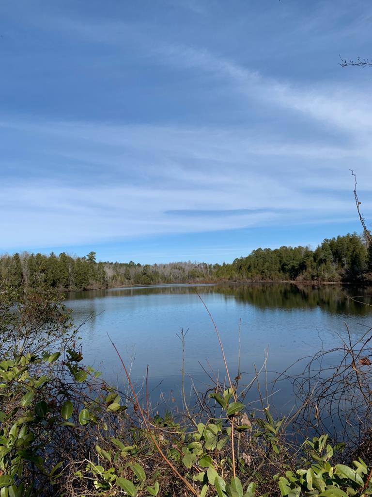 00 Upper Pond Road - Photo 1