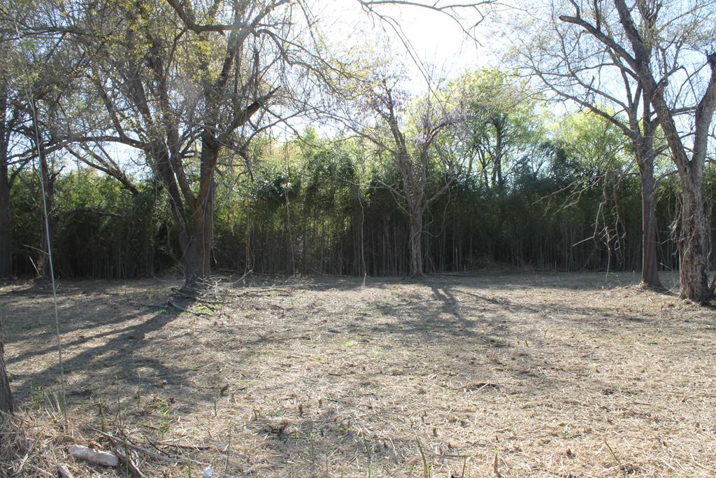 00 Festival Trail Road - Photo 1