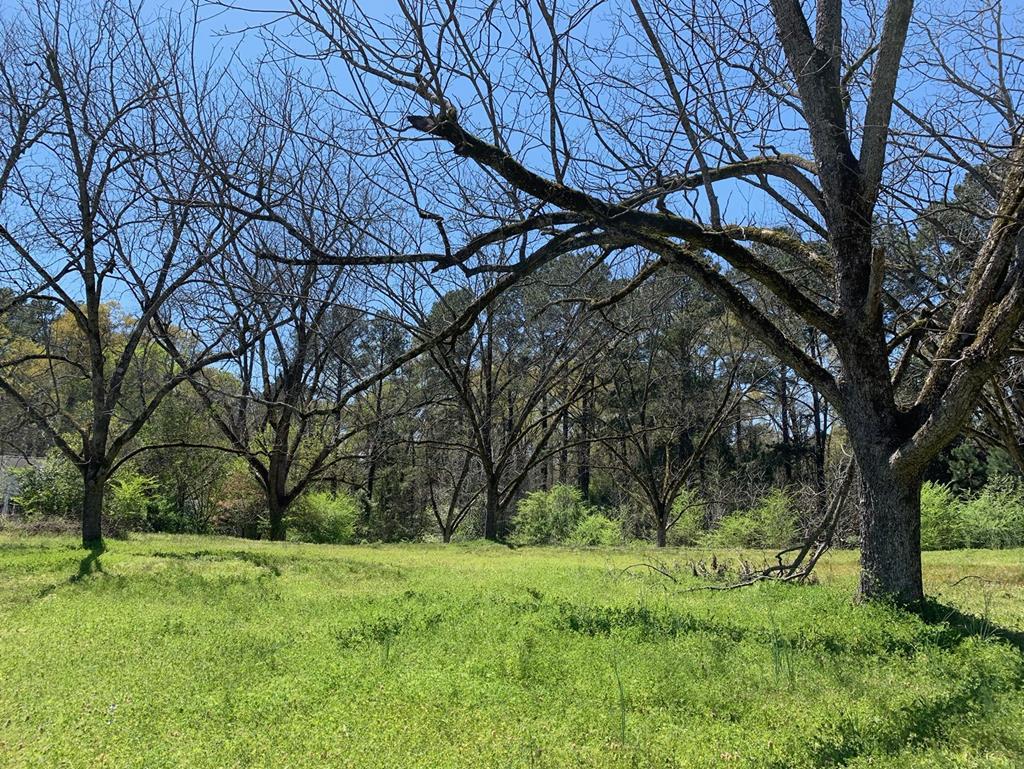 405 Buncombe Street - Photo 1