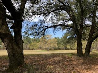 Lot 3 Redds Branch Road - Photo 1