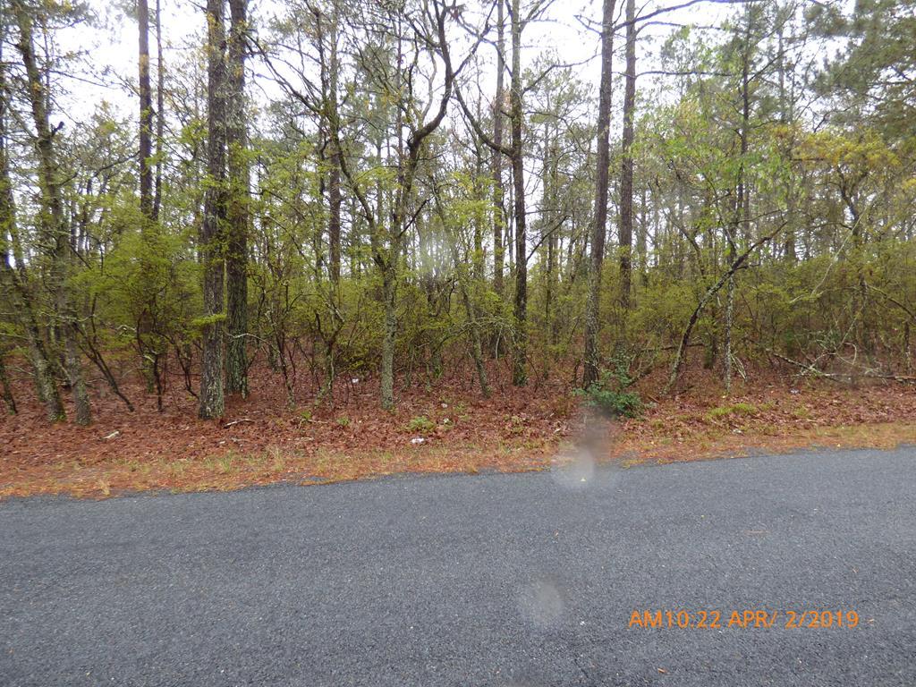 00 Old Shoals Road - Photo 1