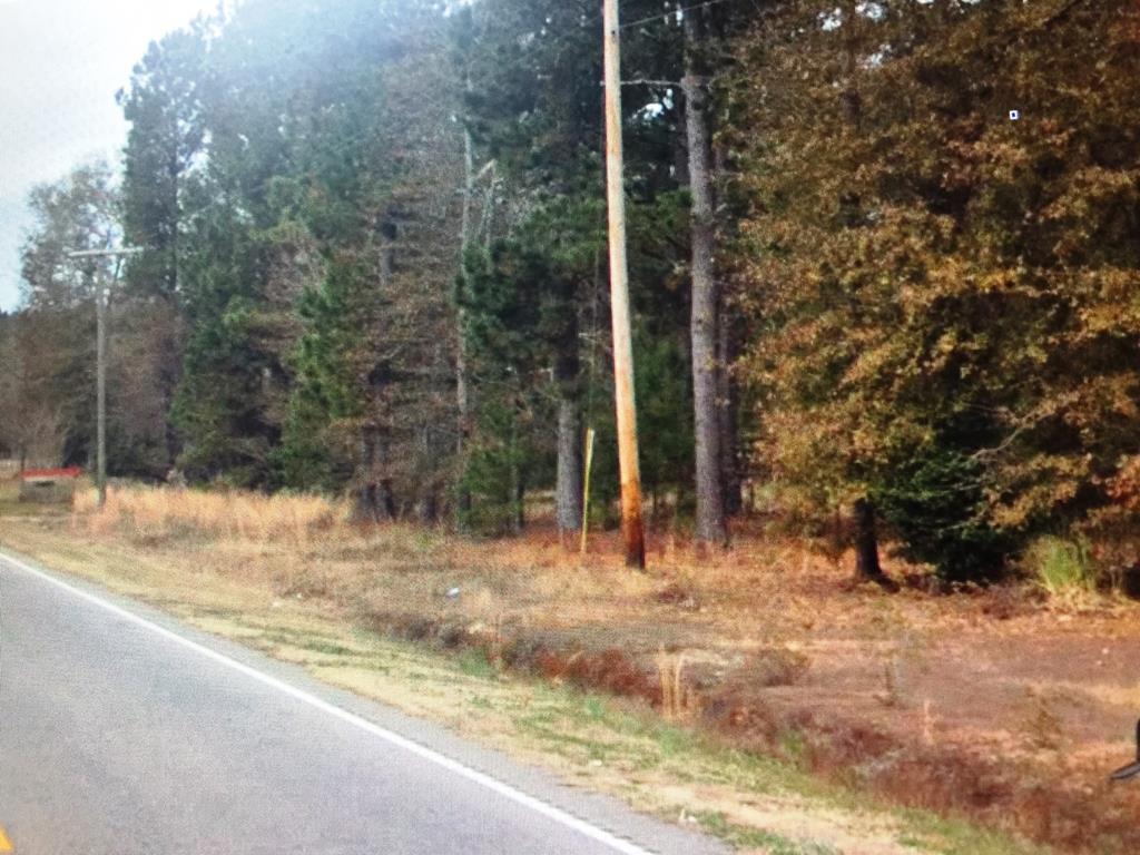Lot 6 Old 96 Indian Trail Hwy 39 - Photo 1