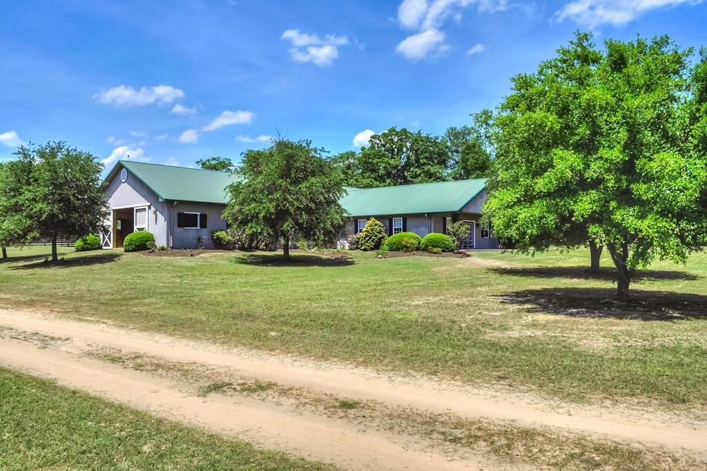 490 Big Tree Road - Photo 1