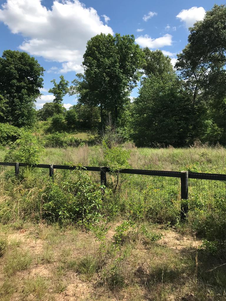 3134 Epona Lane - Photo 1