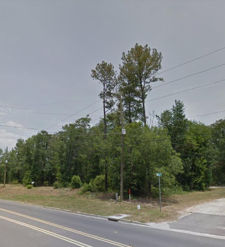 237 Old Jackson Hwy - Photo 1