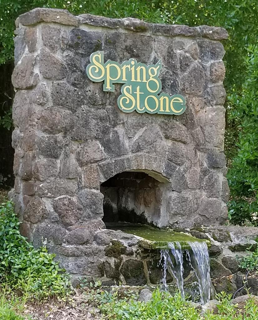 106 Spring Stone Ct - Photo 1