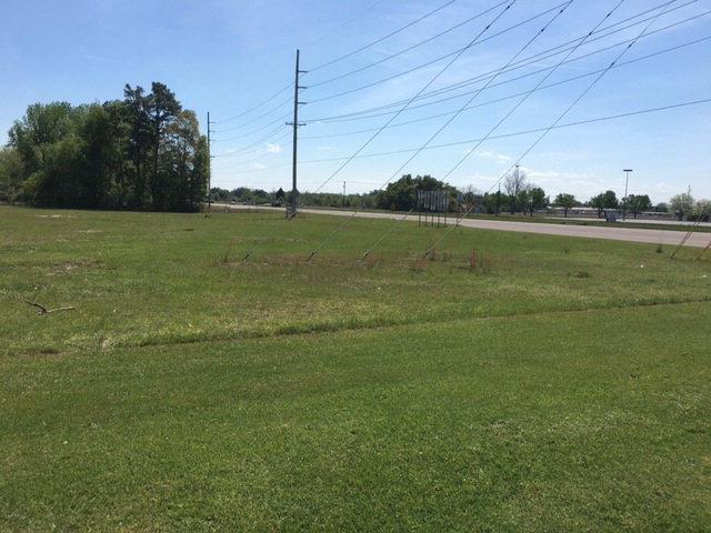Lot F Wagener Rd (Hwy 302) - Photo 1