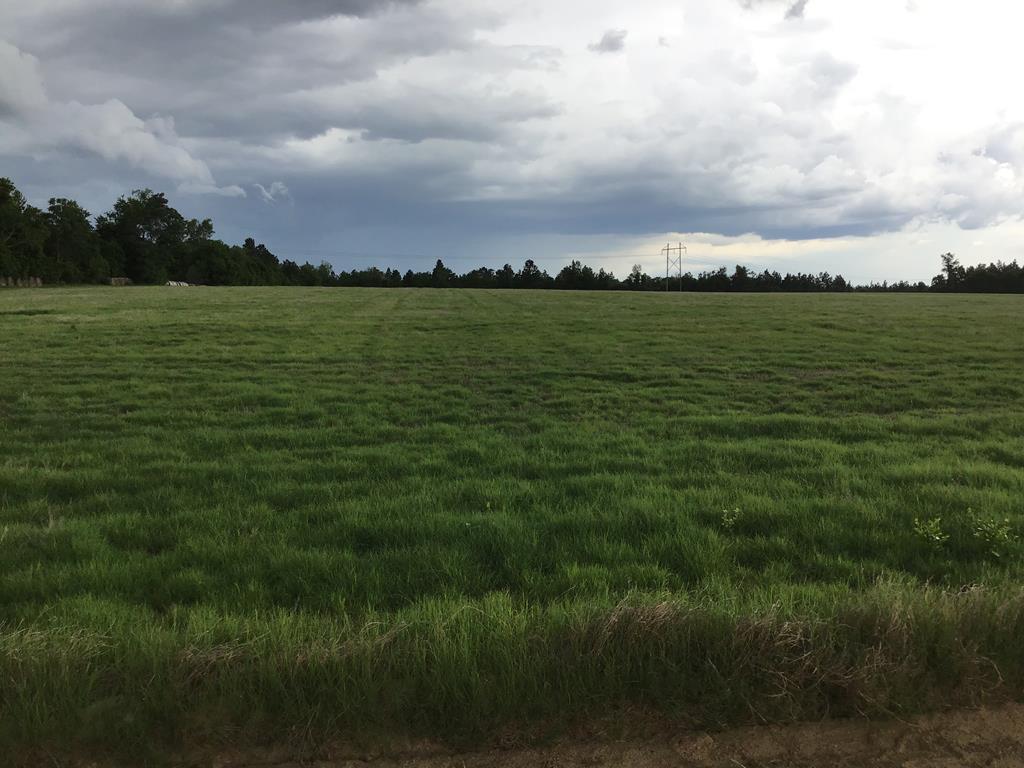 TBD Thomasville Road - Photo 1