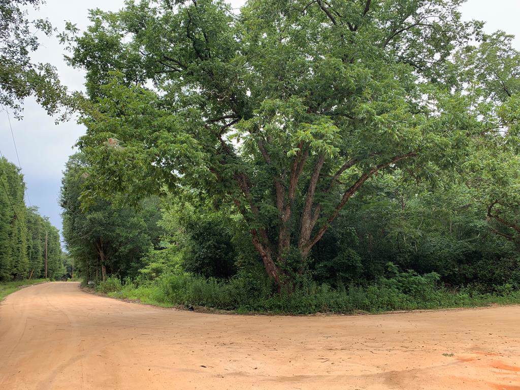 0 Hedge Rd At Mango Pass - Photo 1