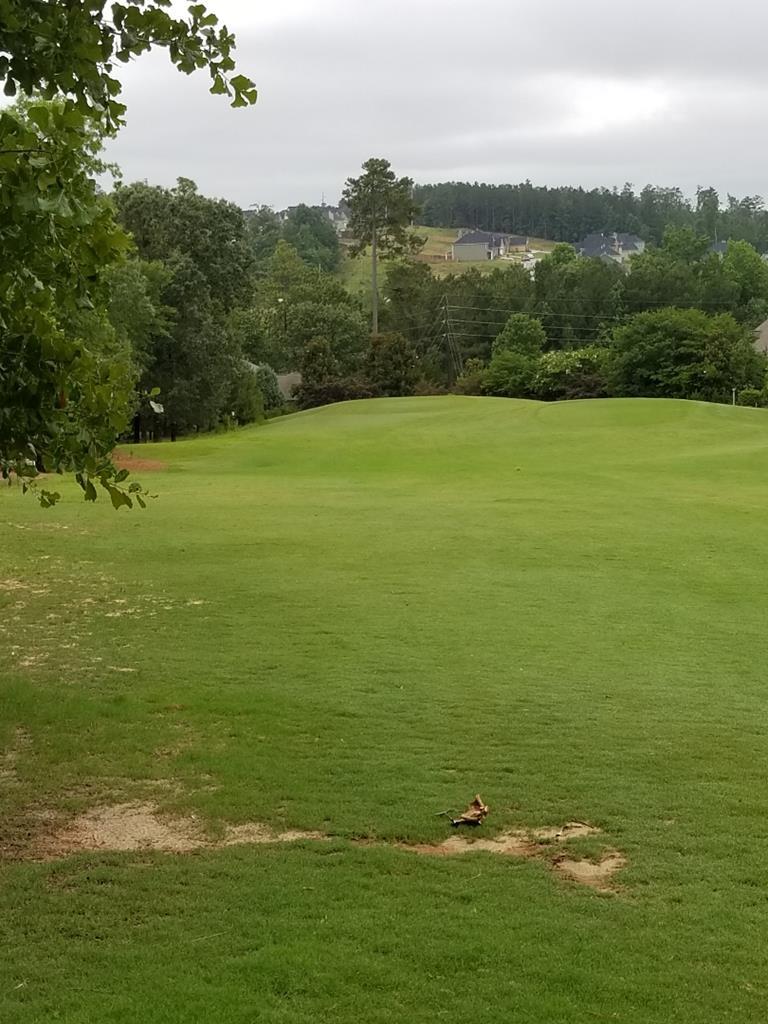 184 Foxhound Run - Photo 1