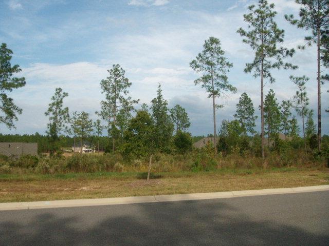 1016 Anderson Mill Road - Photo 1