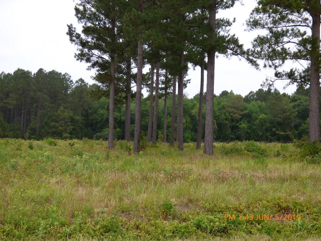 Lots 20 & 21 Burkelo Road - Photo 1