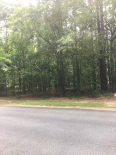 Lot 4B Long Shadow Drive - Photo 1