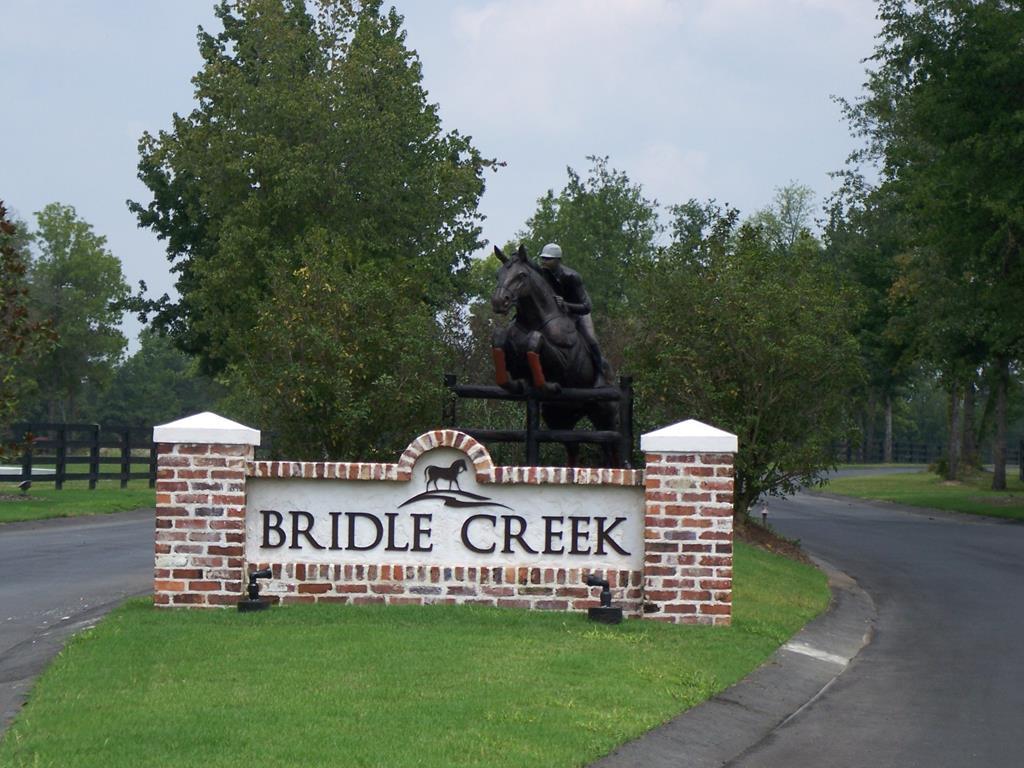 Lot A-1 Ph 1 Bridle Creek Trail - Photo 1 Lot A-1 Ph 1 Bridle Creek Trail - Photo 1