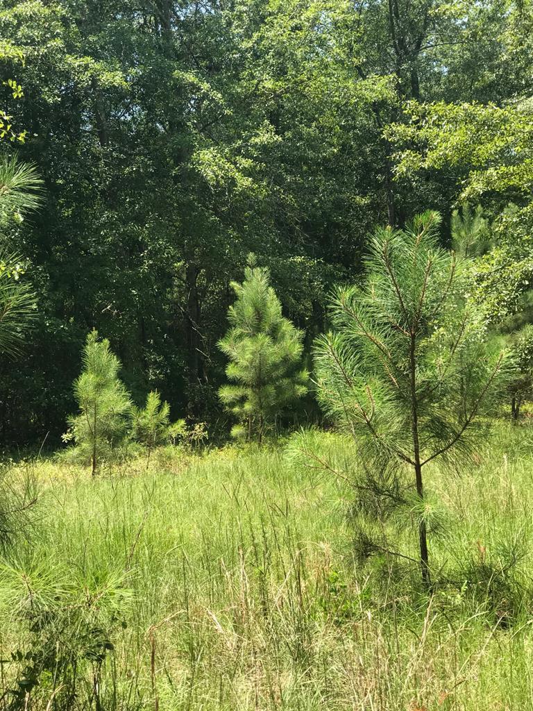 000 Waterwheel Road - Photo 1