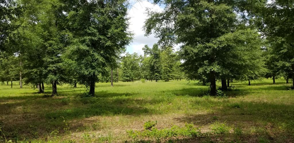 0 Wagener Road - Photo 1
