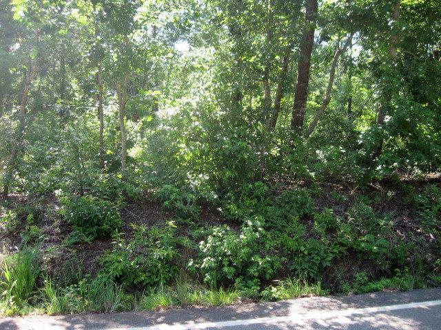 0 Weaver Road - Photo 1
