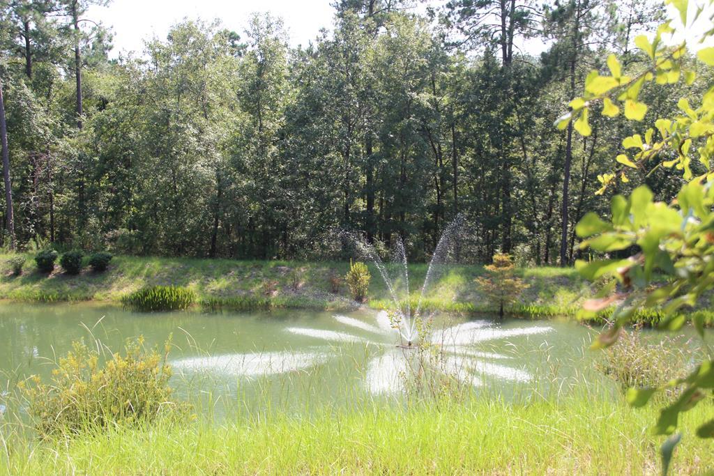 5075 Charnwood Forest Circle - Photo 1