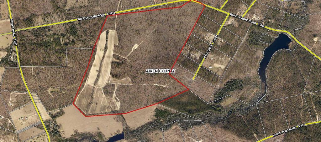 410 Whittle Pond Road - Photo 1
