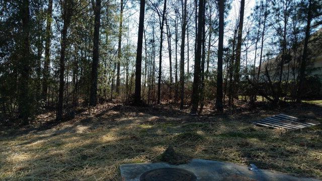 256 Graystone Drive - Photo 1