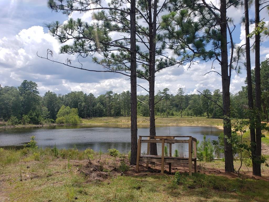 1365 Old Kimbill Trail - Photo 1