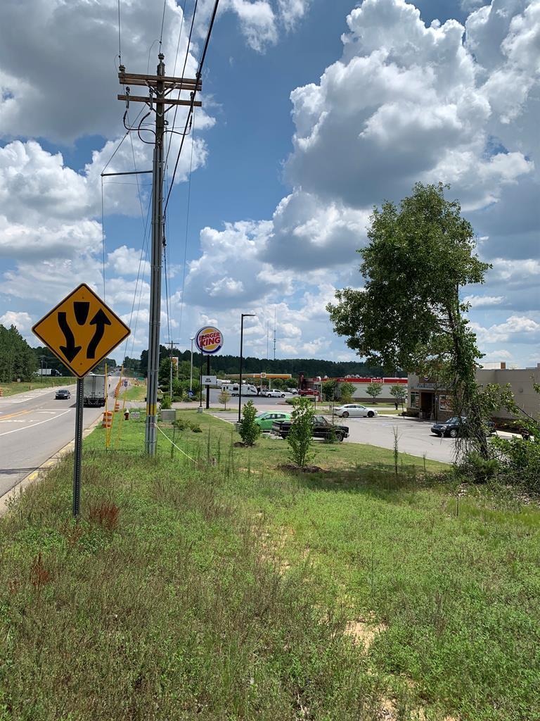 703 Bettis Academy Road - Photo 1