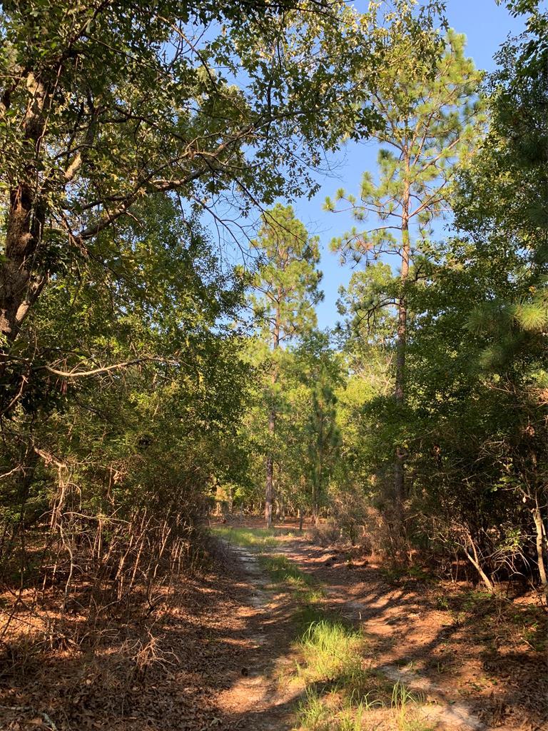 000 Hayden Road - Photo 1