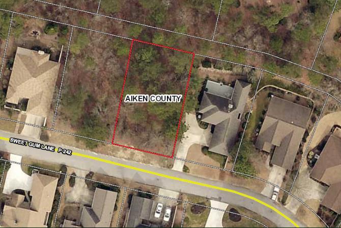 153 Sweet Gum Lane - Photo 1