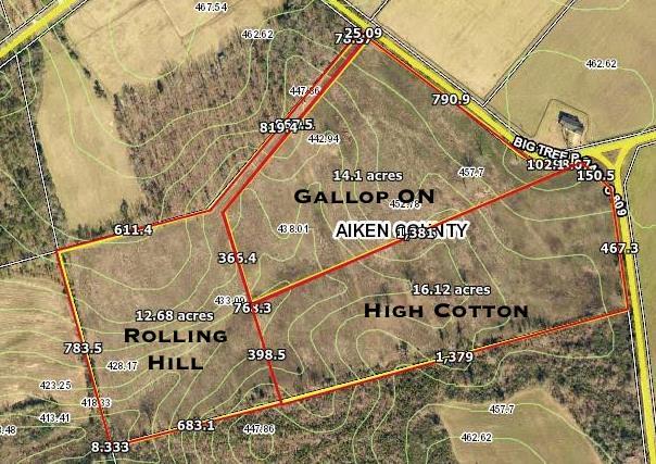 12.68 Acres Big Tree Road - Photo 1