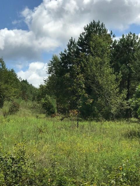 544 Main Drive - Photo 1