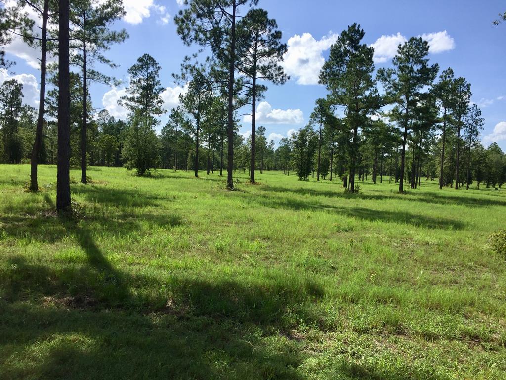 lot20ph7a Rembert Place - Photo 1 lot20ph7a Rembert Place - Photo 1
