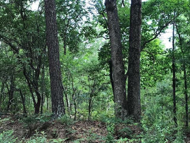 20.7 ac New Holland Road - Photo 1