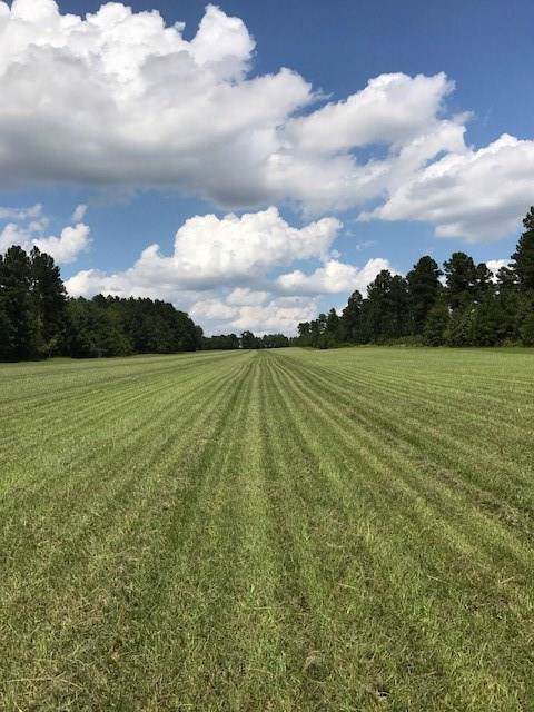 Lot 26 Burkelo Road - Photo 1