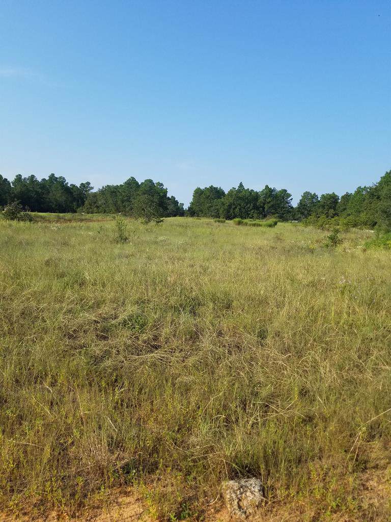 162 Ballard Drive - Photo 1