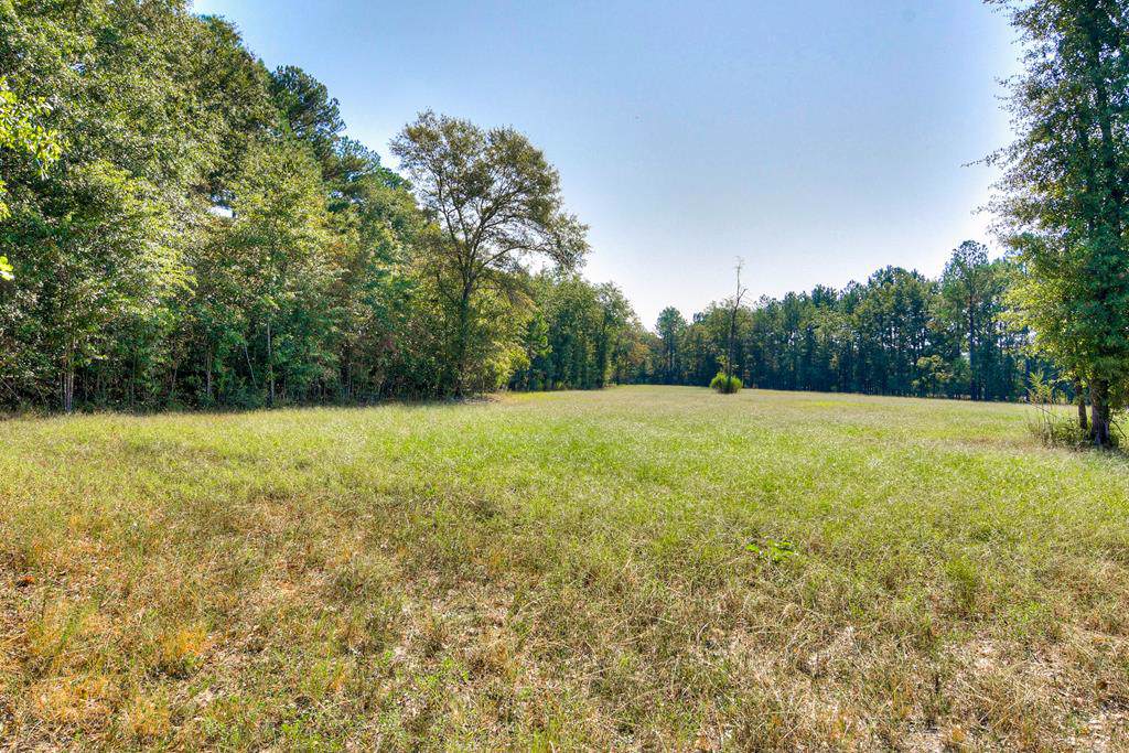 00 Linler Lane - Photo 1