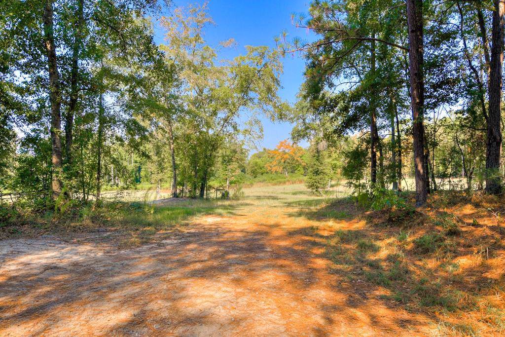 00 Linler Lane - Photo 1