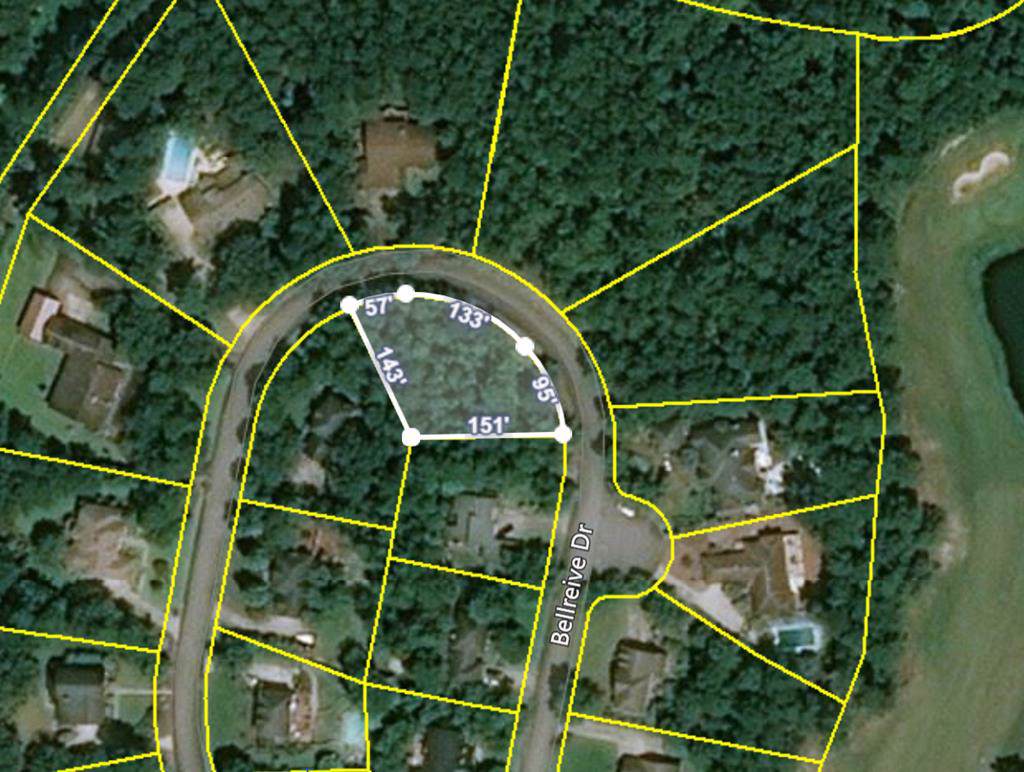 1116 Bellreive Drive - Photo 1 1116 Bellreive Drive - Photo 1